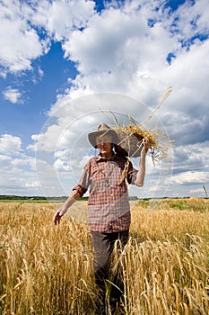 Old man in barley field