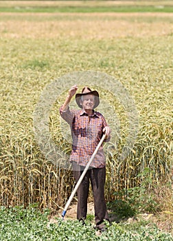Old man in barley field