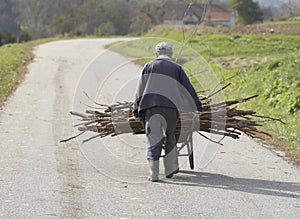 Old Man Carrying Firewood