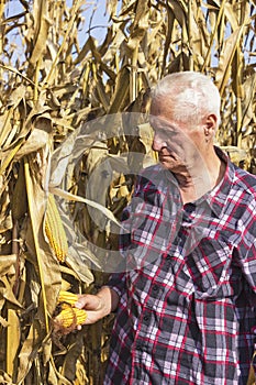 Old man with corn in his hand