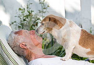 Old man and cute dog kissing