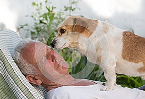 Old man and cute dog kissing