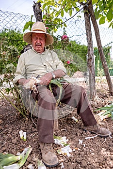 Old man cutting vegetables