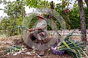 Old man cutting vegetables