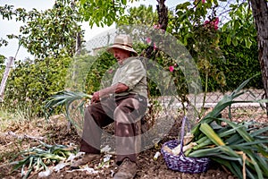 Old man cutting vegetables