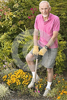 Old man digging in garden