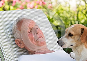 Old man with dog in garden