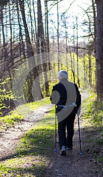 Old man doing Nordic walking