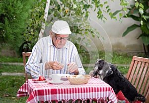 Old man eating in garden with dog