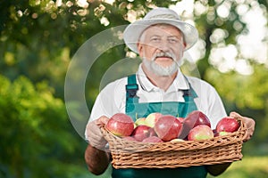 Old man in farmer`s hat holding basket with apples.