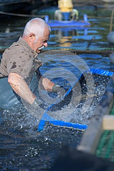 Old man fish farming