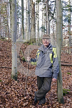 The old man in the forest