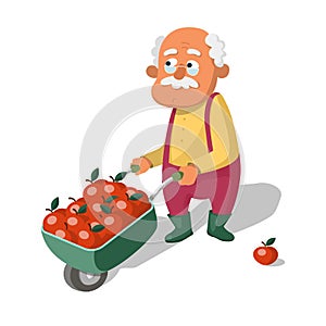 Old man with a garden cart full of red apples
