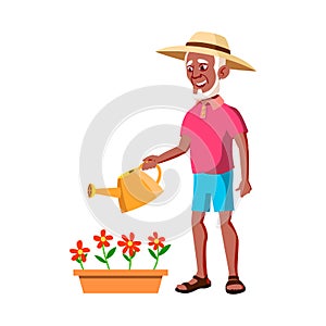 old man gardener watering flowers in garden cartoon vector