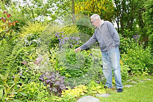 Old man gardening in his garden photo