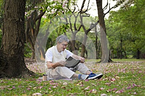 old man with grey hair wears glasses sitting under a tree and reading a book in forest park