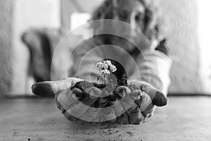 Old man holding a dainty white flower in rich soil