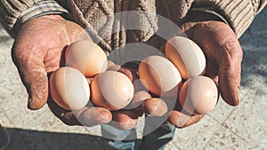 An old man is holding an egg and showing it. Natural product background