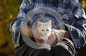 Old man with little cat in lap