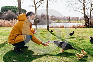 Old man with a medical mask feeding a duck on the grass