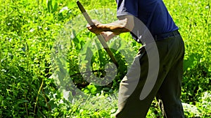 An old man mows the grass in the field with a scythe.