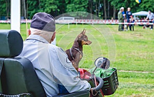 An old man on a quad bike with a dog breed russian toy terrier_