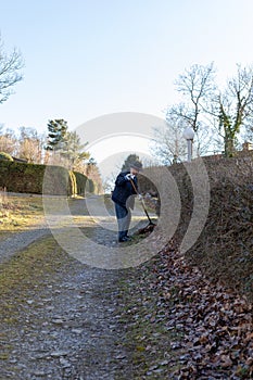 Old man raking fallen leaves in the garden, senior man gardening