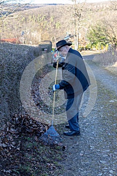 Old man raking fallen leaves in the garden, senior man gardening