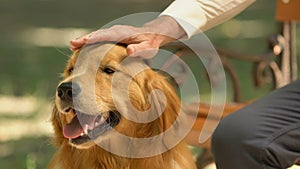 Old man stroking his dog resting on bench in park, best friends, assistance