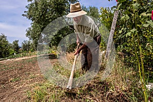 Old man tilling the ground with a hoe