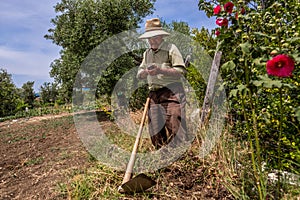 Old man tilling the ground with a hoe and receiving a phone call