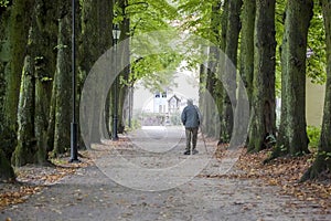 Old man walking alone in the park.