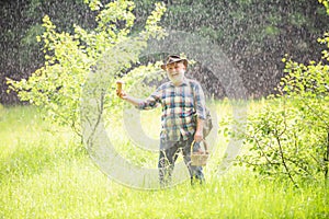 Old man walking. Grandpa Pensioner. Senior hiking in forest. Summer and hobbies. Grandfather with basket of mushrooms