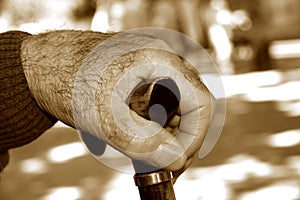 Old man with a walking stick, in sepia toning photo