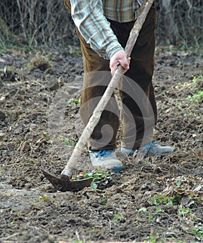 Old man work with hoe praparing