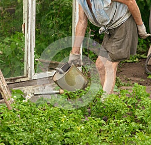 The old man works in the garden at the cottage