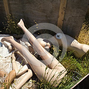 Old mannequin parts on ground.