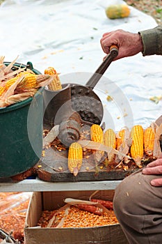 Old manual corn shucker, stripping and grinding of corn cobs