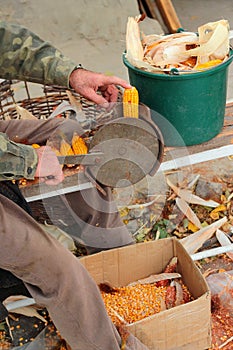 Old manual corn shucker, stripping and shelling of corn cobs