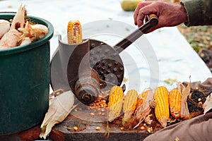 Old manual corn shucker, stripping and shelling of corn cobs