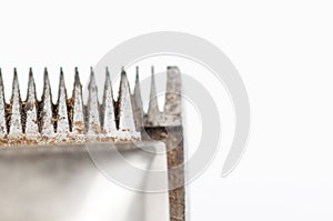 Old manual haircut machine isolated on white background.Copy space