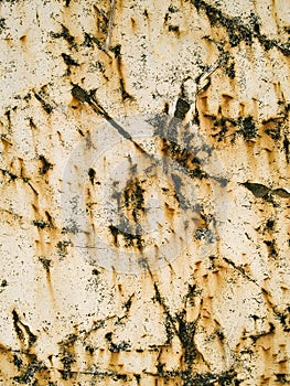 Old Marble
