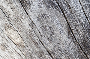 Old marine wood texture with curves photo. Weathered timber board with crack lines.