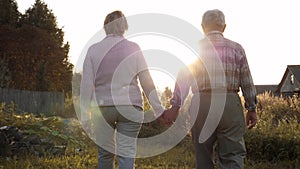 Old Married Couple Holding Hands Walks Against Of Nature With Sunset Shine