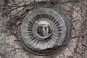 Old mascaron overgrown with climbing plants in Berlin, Germany.