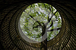 old medieval abandoned dovecote with a tree growing in the middle