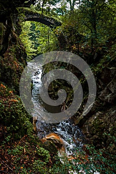 Old medieval bridge over the gorge of a mountain river