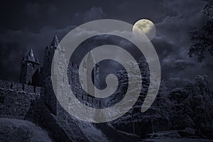 Medieval castle in a full moon night