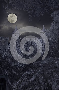 Medieval castle in a full moon night