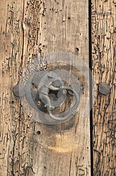 Old medieval metal door knocker on wood worm eaten door close